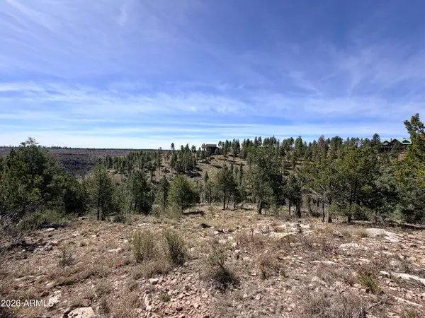 5088 Morning View Drive #6, Happy Jack, AZ 86024