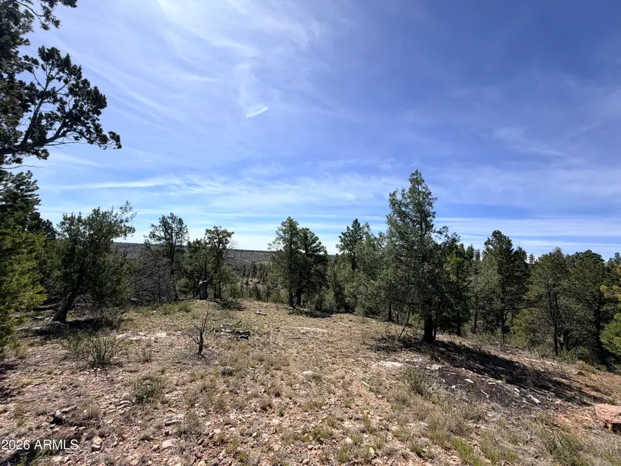 5088 Morning View Drive #6, Happy Jack, AZ 86024 - #2
