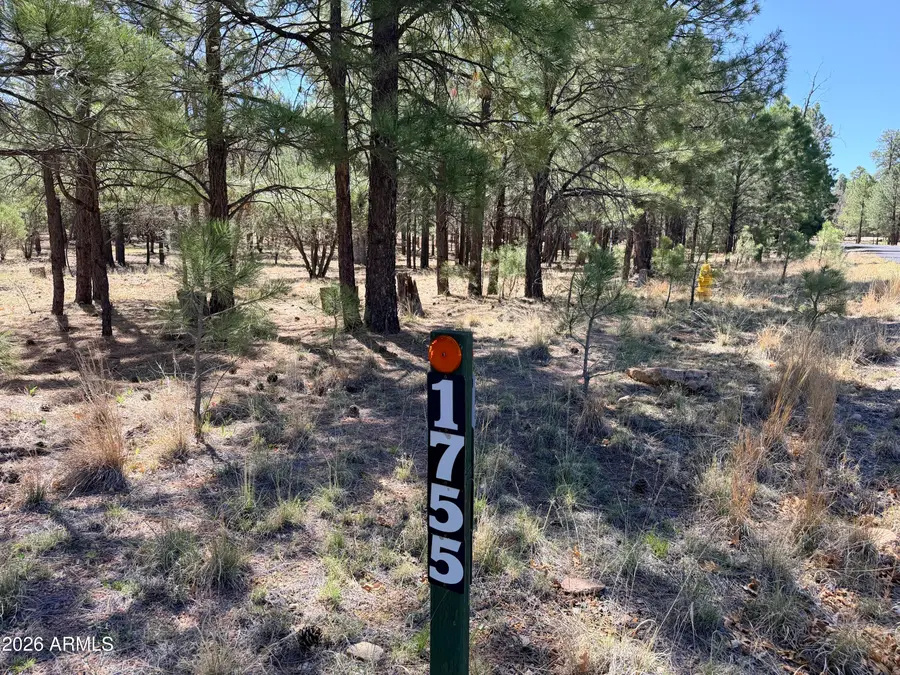 1755 Sugar Pine Drive #232, Happy Jack, AZ 86024 - #2