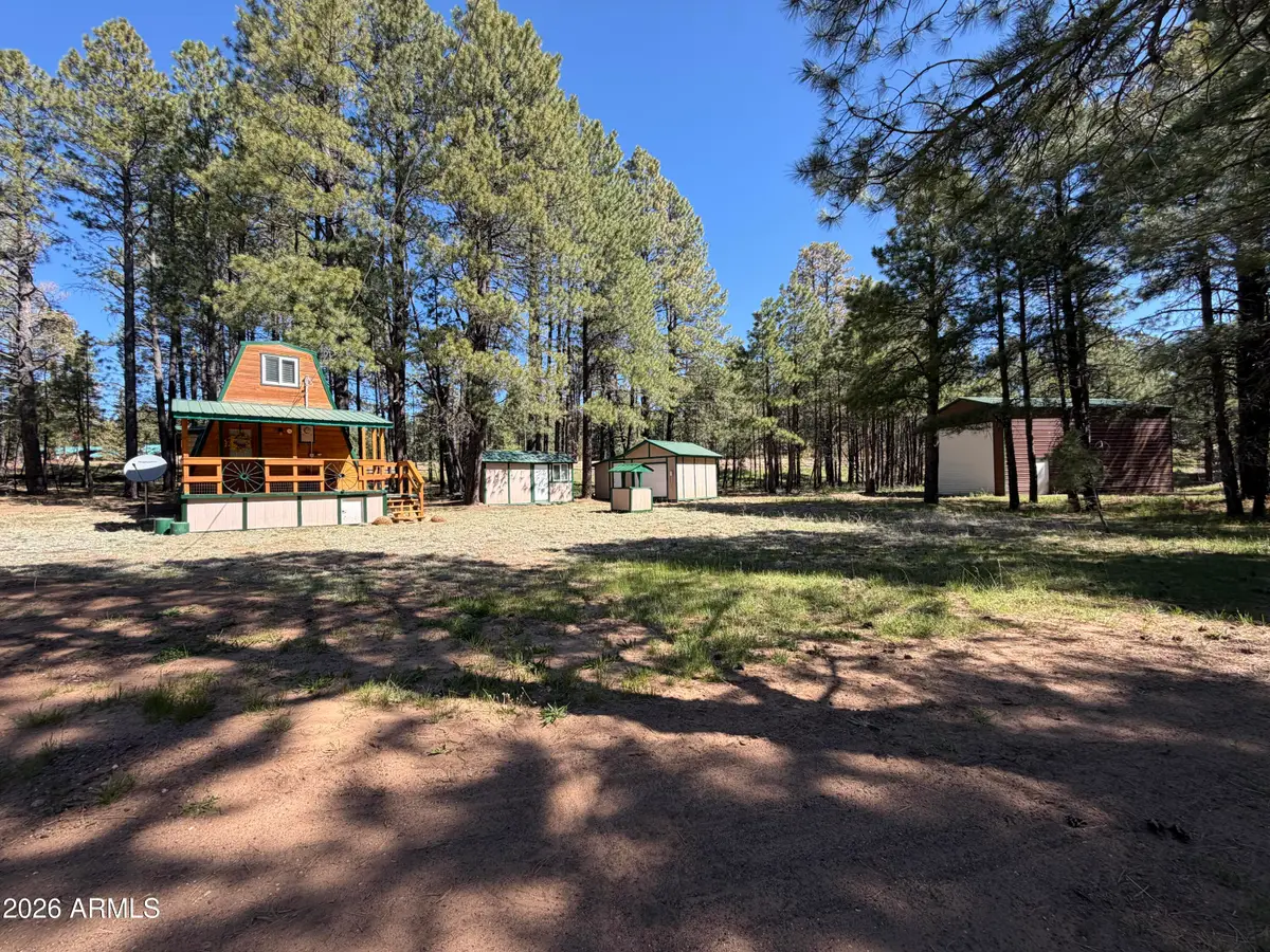 1053 Pond Circle, Forest Lakes, AZ 85931 - #1