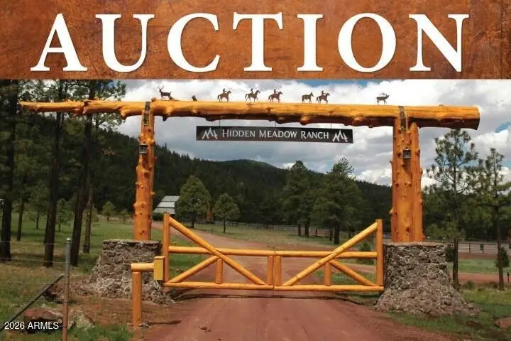 7 N County Road N1332 -- #46, Greer, AZ 85927 - #1