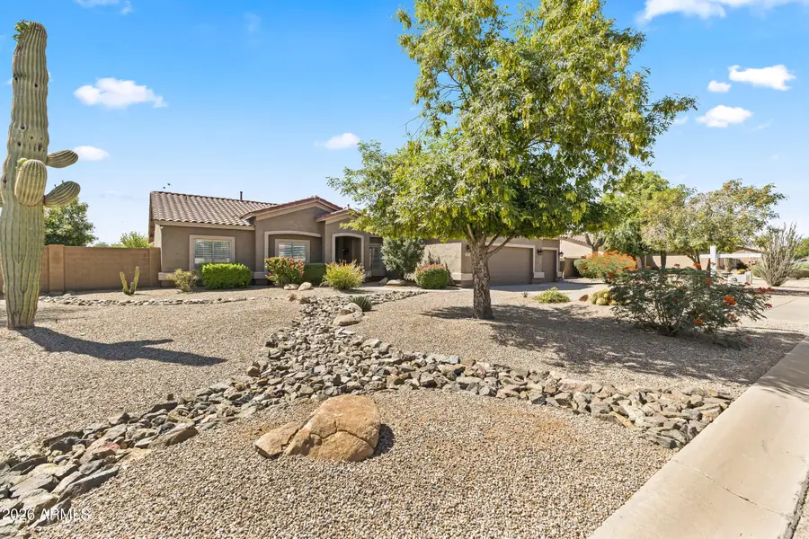 237 E Desert Holly Drive, San Tan Valley, AZ 85143 - #3