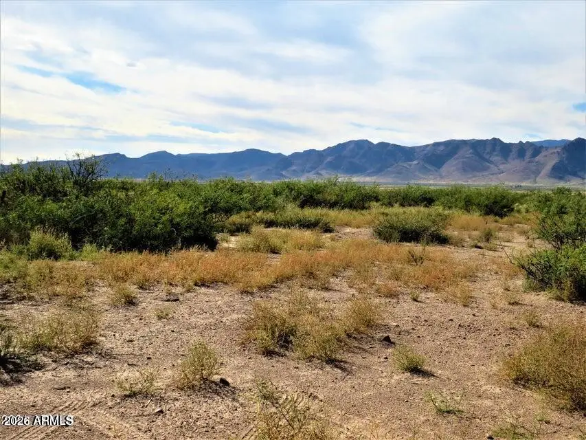 TBD Many Wells -- #315, Portal, AZ 85632 - #1