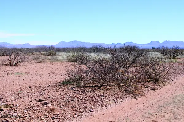 .25 Acre W Penn State Drive #1245, Douglas, AZ 85607