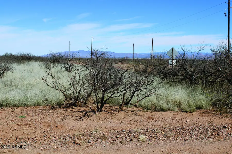 .25 Acre W Penn State Drive #1245, Douglas, AZ 85607 - #3