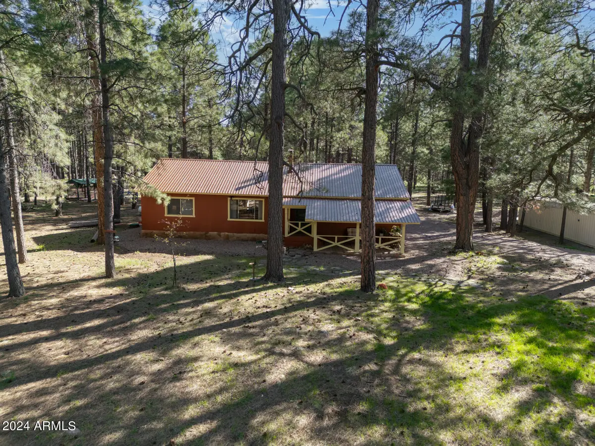 668 Mule Springs Trail, Forest Lakes, AZ 85931 - #1