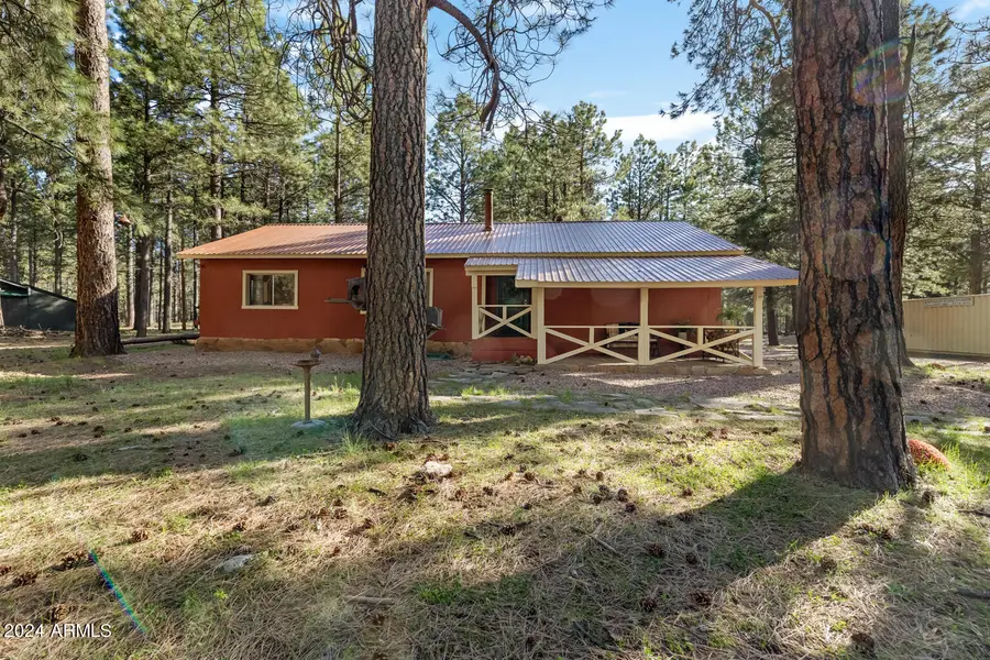 668 Mule Springs Trail, Forest Lakes, AZ 85931 - #3