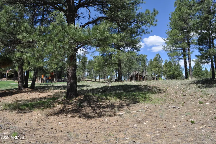 3940 S Clubhouse Circle #291, Flagstaff, AZ 86005 - #2