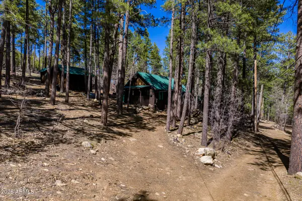 6248 Dairy Lane, Mormon Lake, AZ 86038
