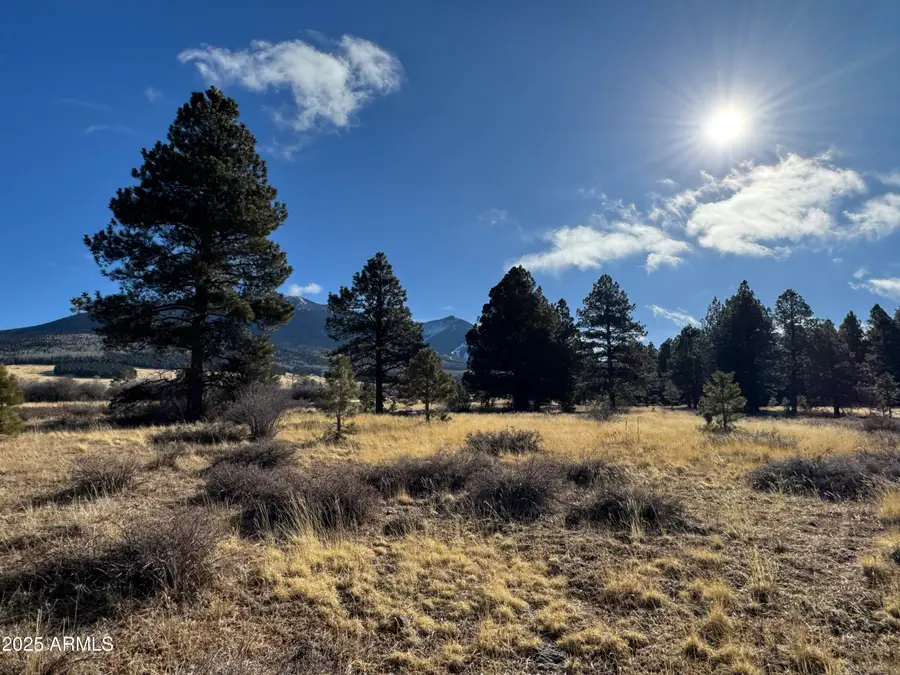 003 Hart Prairie Rd --, Flagstaff, AZ 86001 - #3