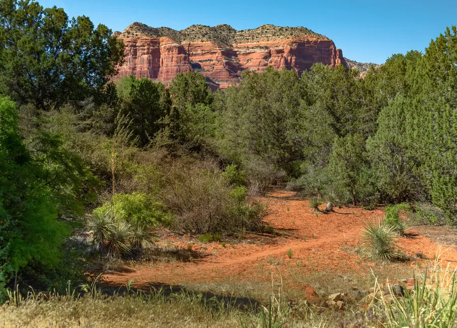 84 Vistella Drive #8, Sedona, AZ 86351 - #3