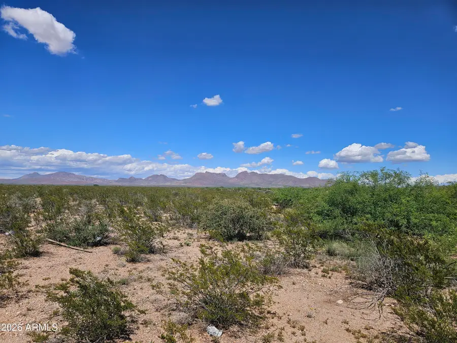 XXXX E 27th Street #3, Douglas, AZ 85607 - #2