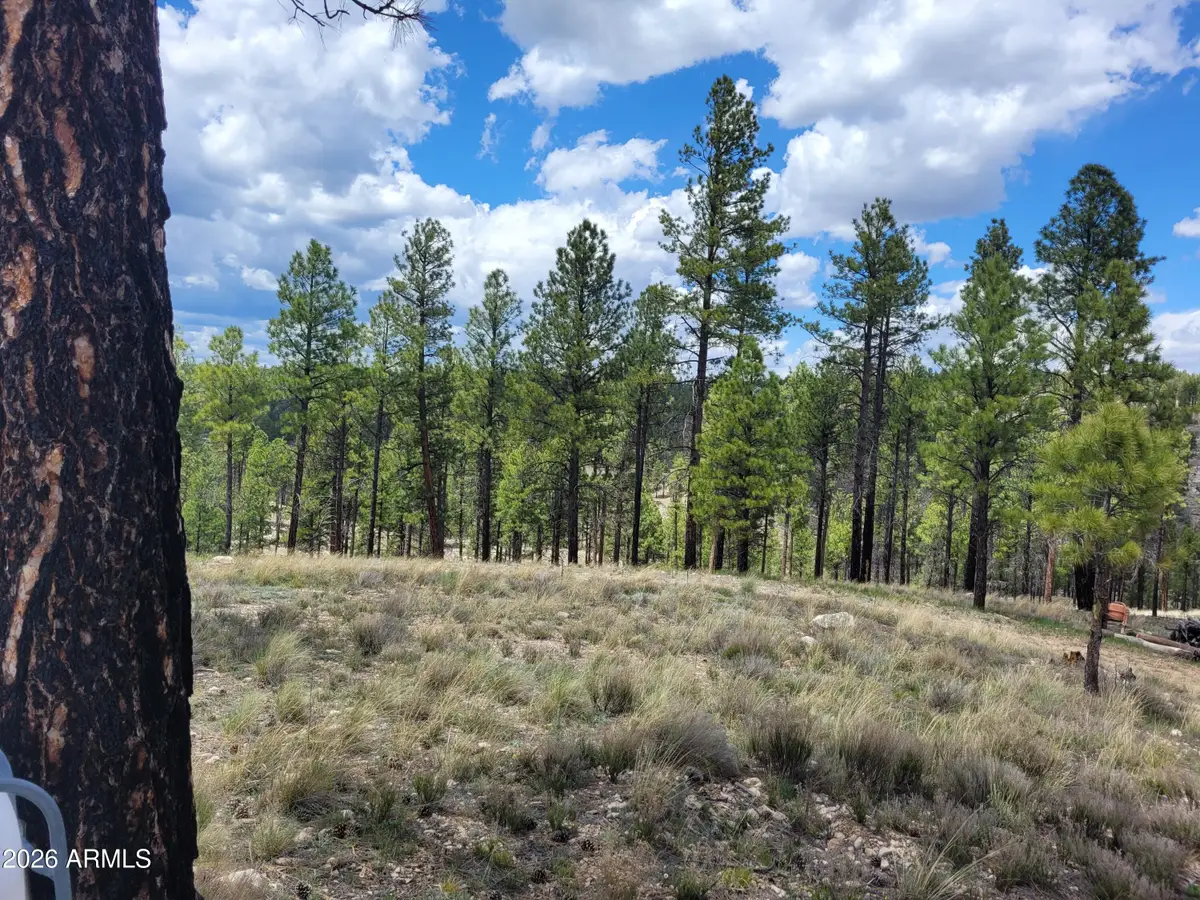 525 Moqui Drive #6, Happy Jack, AZ 86024 - #1