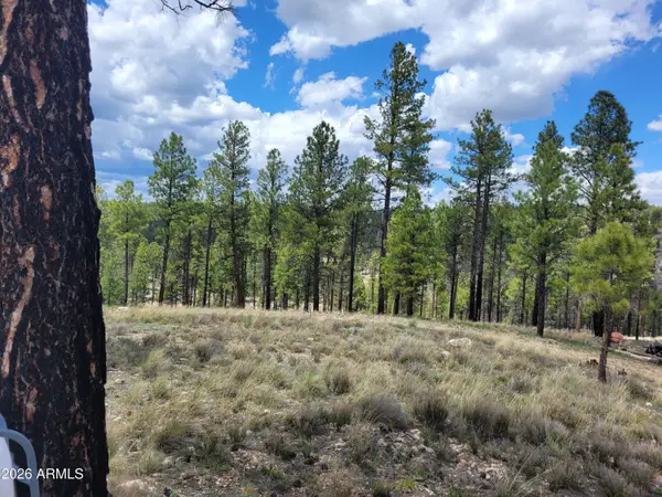 525 Moqui Drive #6, Happy Jack, AZ 86024
