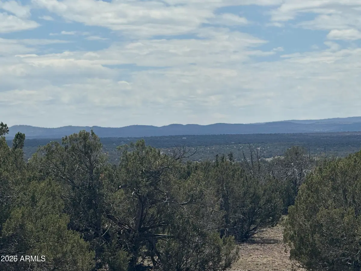 Lot 014E Wagon Lane -- #014E, Snowflake, AZ 85937 - #1