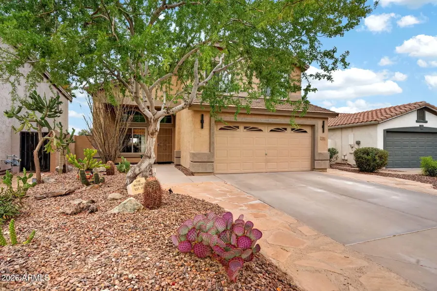 1743 W Muirwood Drive, Phoenix, AZ 85045 - #3