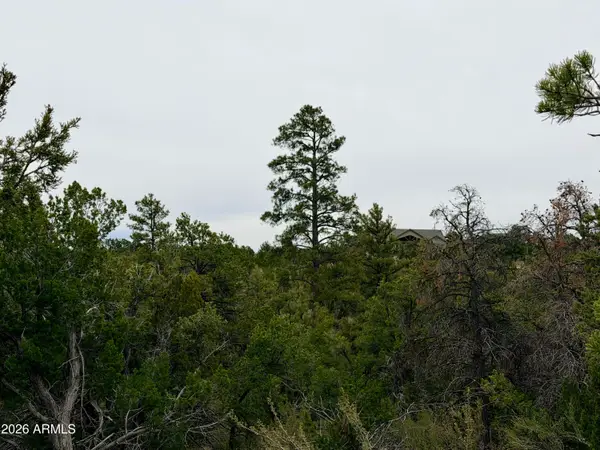 4918 Sunset Ridge Loop #199, Happy Jack, AZ 86024