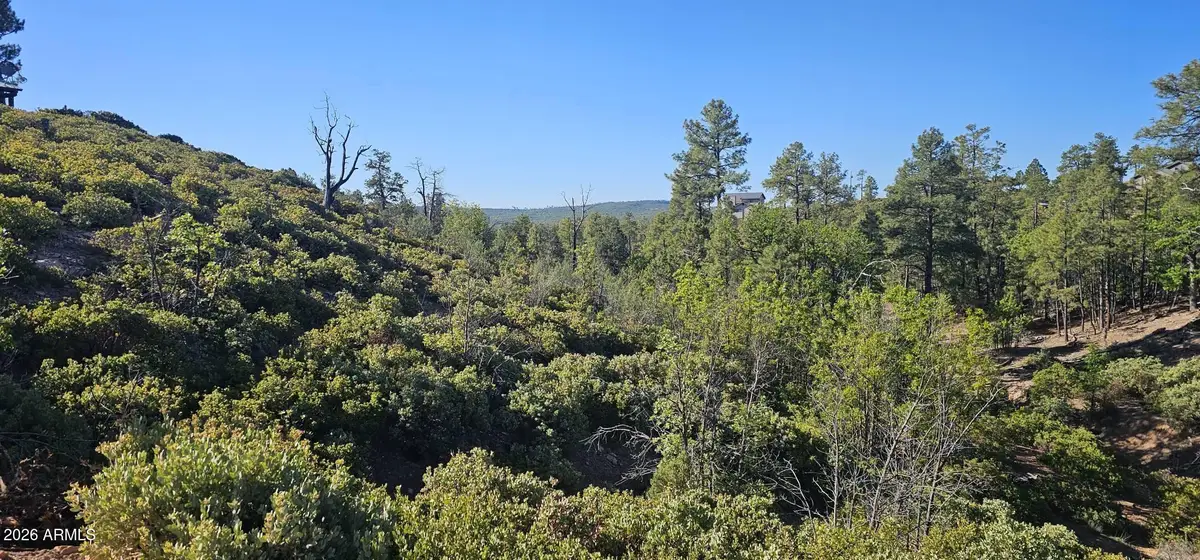 6303 Deer Run Road #398, Show Low, AZ 85901 - #1