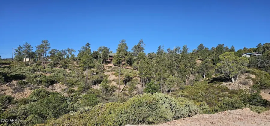 6303 Deer Run Road #398, Show Low, AZ 85901 - #3