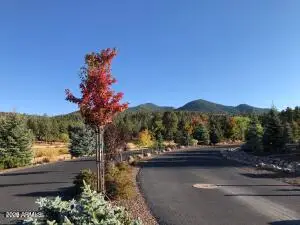 1021 Stone Hollow Loop #2, Williams, AZ 86046 - #2