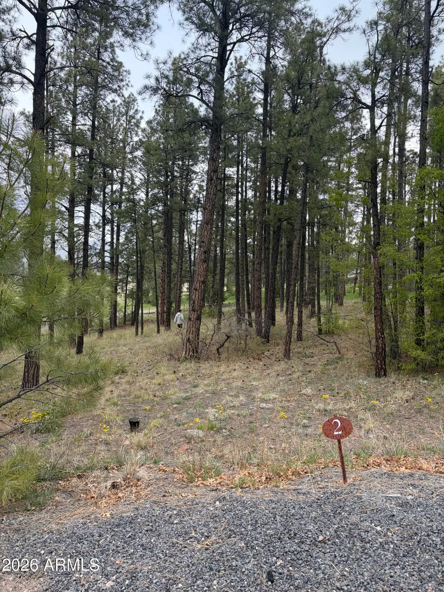 1021 Stone Hollow Loop #2, Williams, AZ 86046 - #3