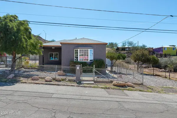 219 W Heiner Drive, Superior, AZ 85173