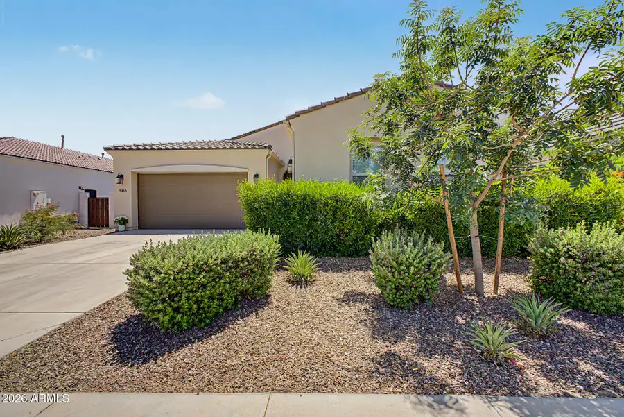 3983 W Serpentine Drive, San Tan Valley, AZ 85144 - #2