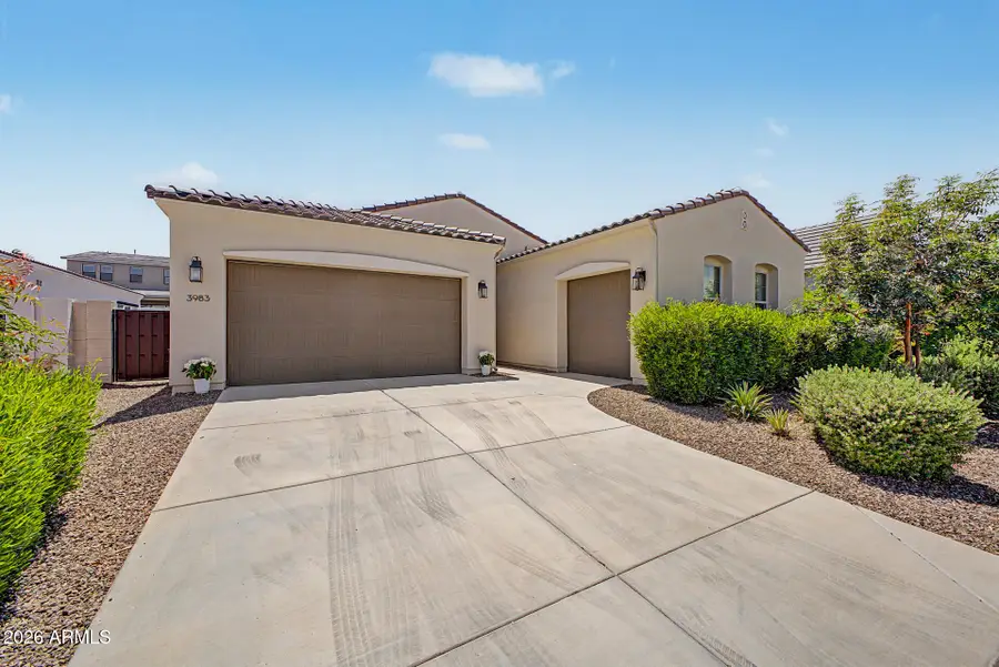 3983 W Serpentine Drive, San Tan Valley, AZ 85144 - #3