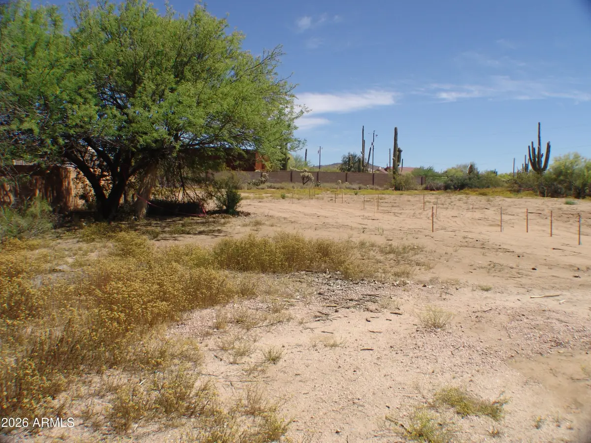 31607 N 64th Street, Cave Creek, AZ 85331 - #1