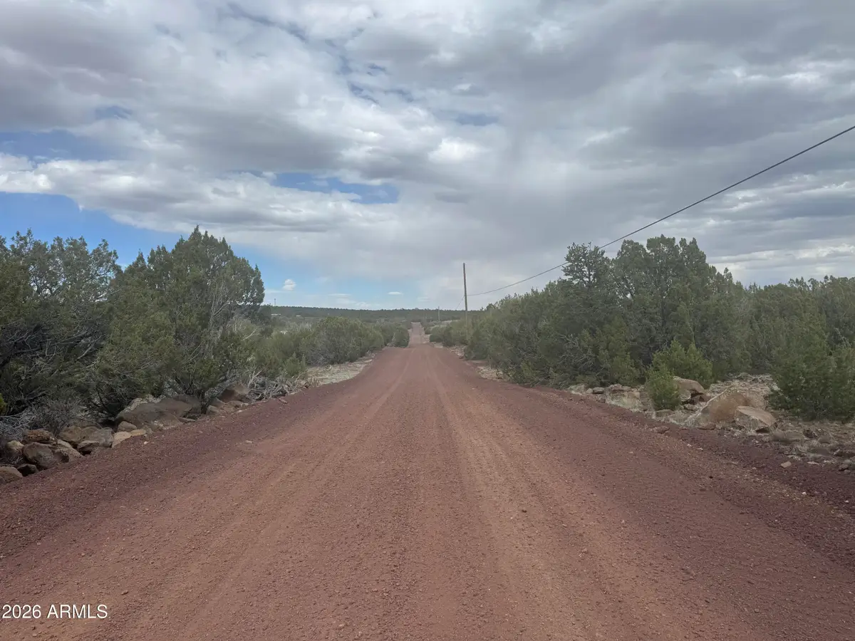Lot 164 Mesa Redondo -- #164, Concho, AZ 85924 - #1