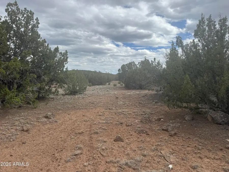 Lot 164 Mesa Redondo -- #164, Concho, AZ 85924 - #2