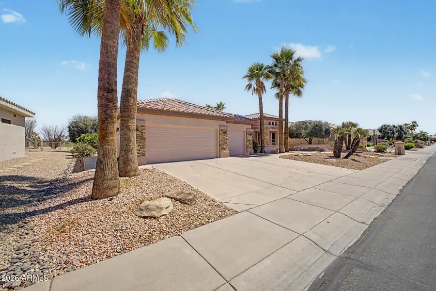 16110 W Desert Winds Drive, Surprise, AZ 85374 - #2