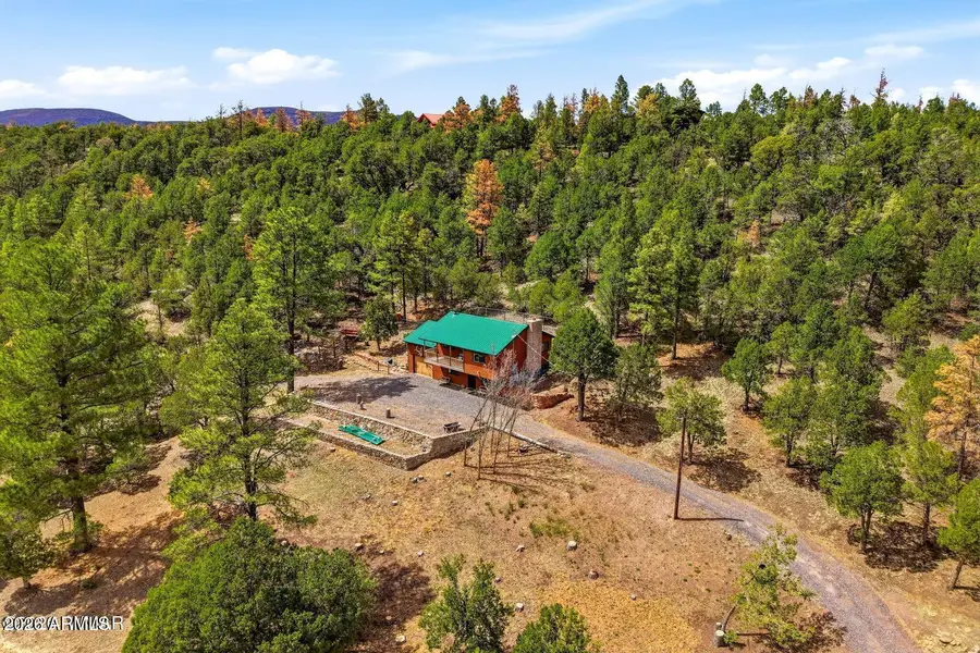 169 County Road 2108 --, Nutrioso, AZ 85932 - #3