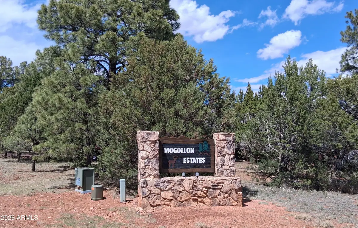 2790 Chandelle Lane #278, Overgaard, AZ 85933 - #1