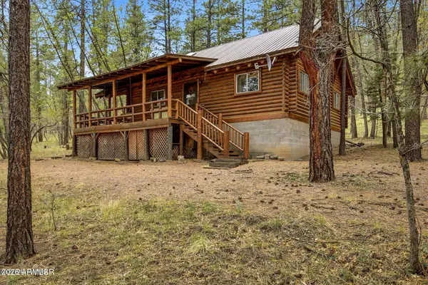 2 County Road 2050 --, Alpine, AZ 85920