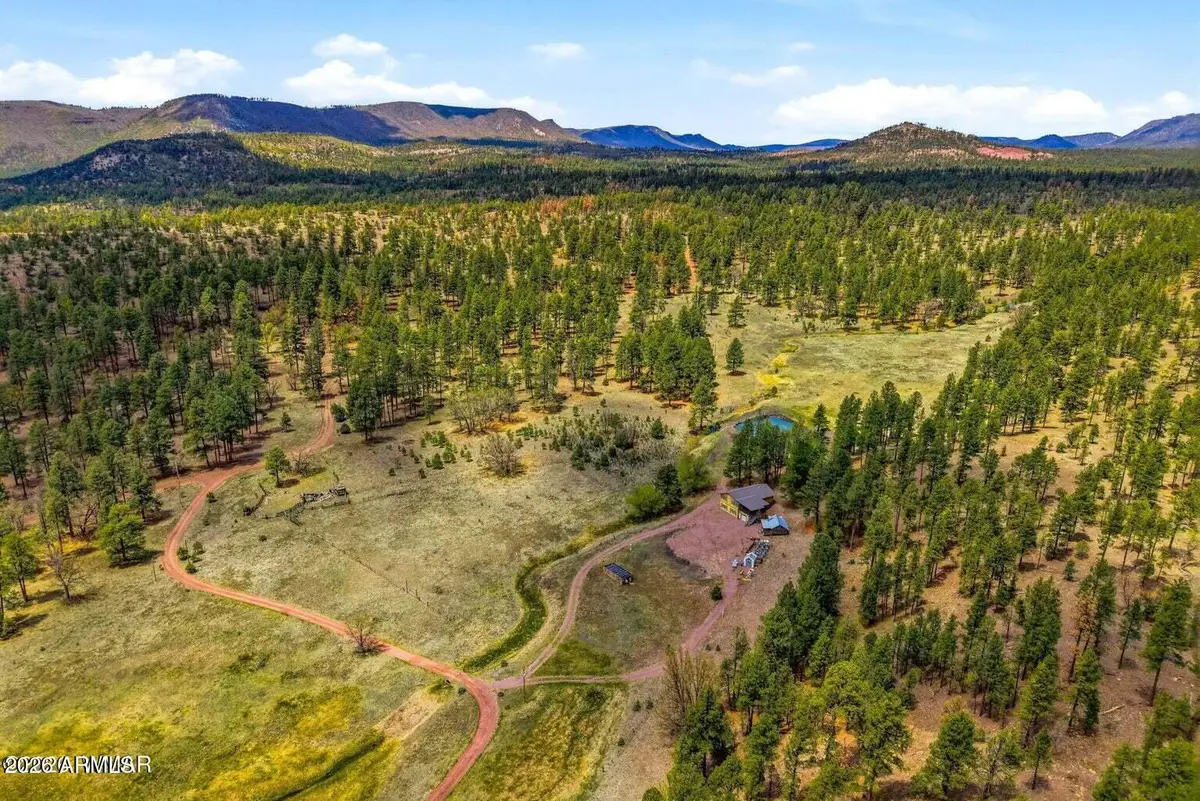 28 County Road 2310 --, Alpine, AZ 85920 - #1