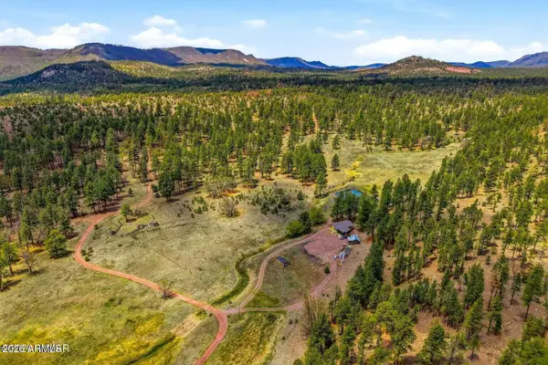 28 County Road 2310 --, Alpine, AZ 85920