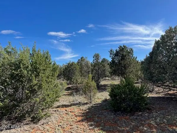 2277 Sunrise Road #361, Overgaard, AZ 85933