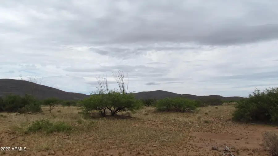 TBD Lot 50 Mule Mountain Ranches 2 -- #50, Tombstone, AZ 85638 - #3