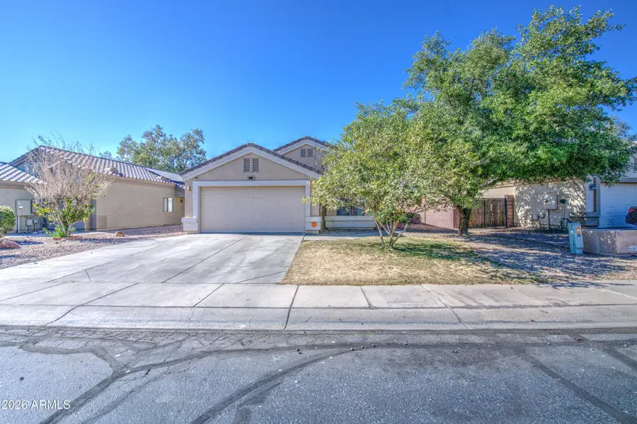 12510 W Saint Moritz Lane, El Mirage, AZ 85335 - #3