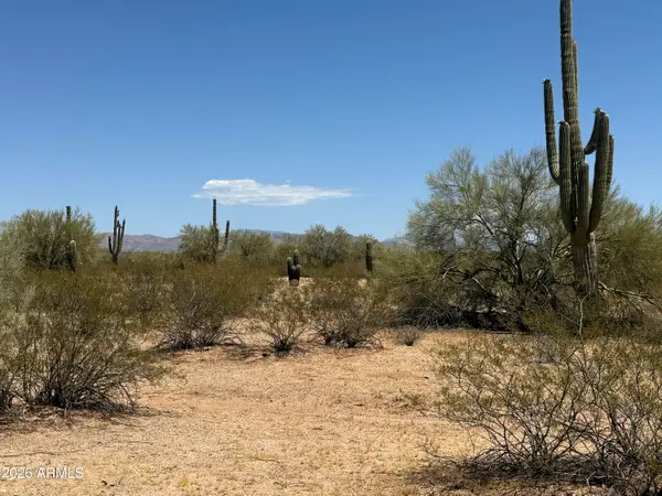 Lot 4 S Cactus Garden Way #4, Marana, AZ 85653