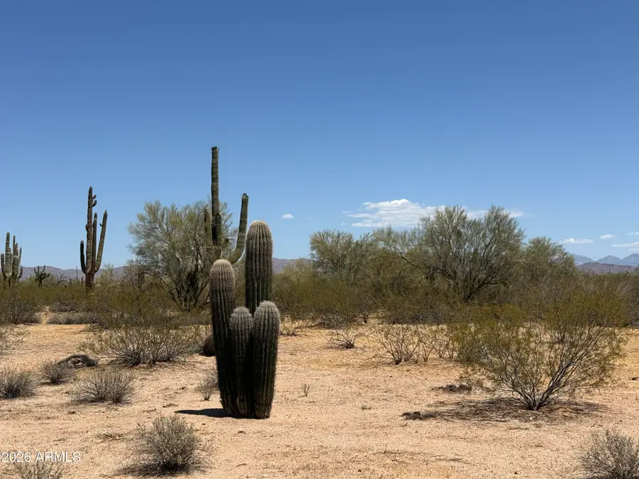 Lot 4 S Cactus Garden Way #4, Marana, AZ 85653 - #2