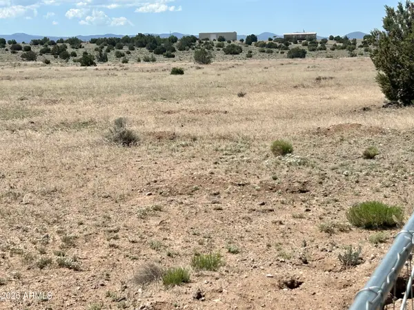 TBD Windsor Valley Ranch Lot 135 -- #135, Concho, AZ 85924