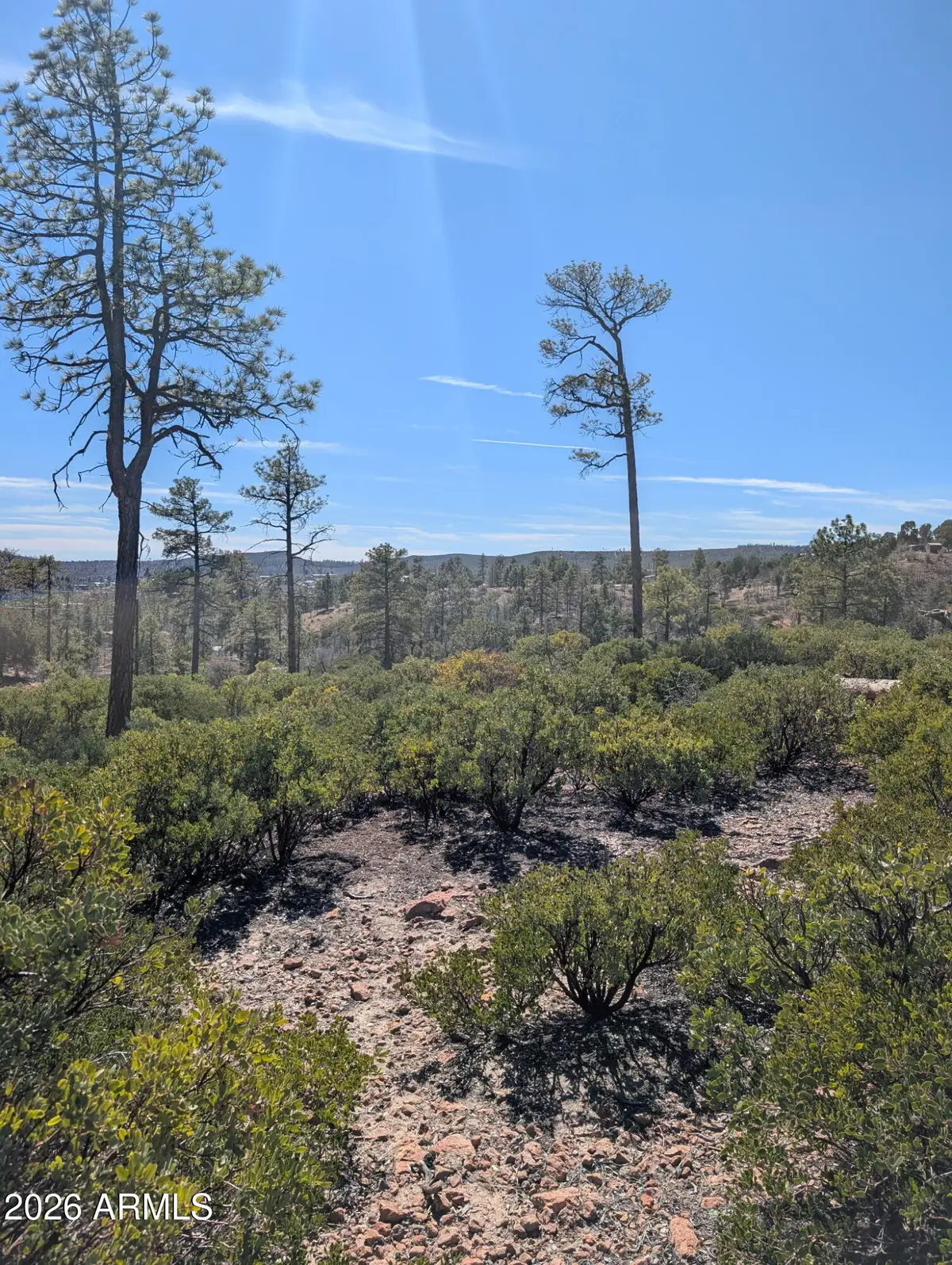958 Navajo Trail #435, Show Low, AZ 85901 - #1