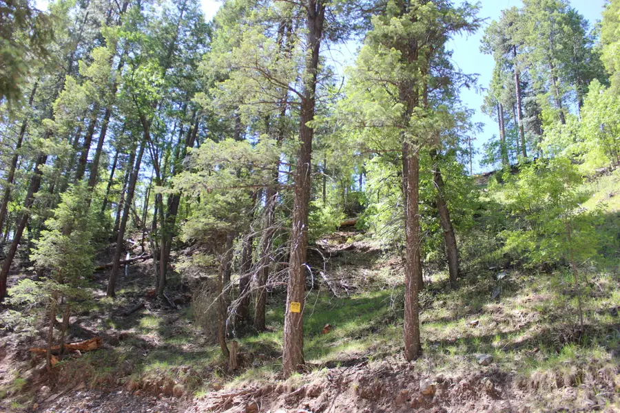 3500 E Sheldon Road #1, Prescott, AZ 86303 - #3