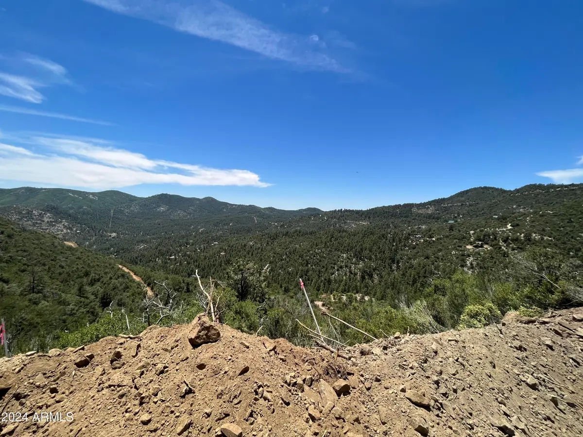 00 S Gladiator Mine Road, Crown King, AZ 86343 - #1