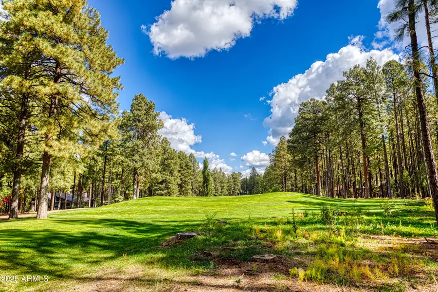 7510 Geronimo Road, Pinetop, AZ 85935 - #2
