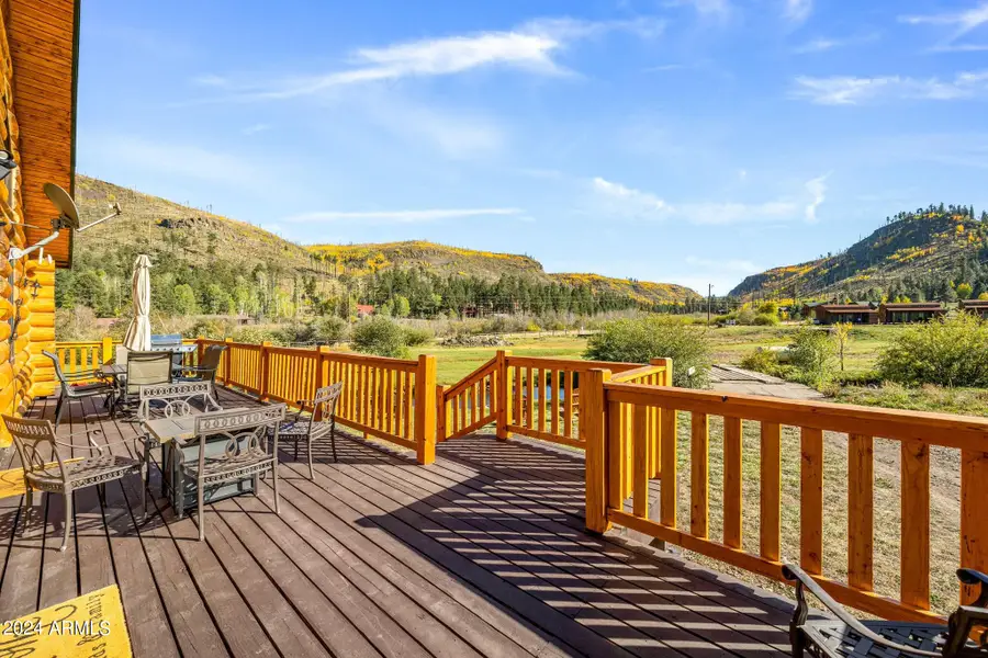 44 N Main Street #175, Greer, AZ 85927 - #2