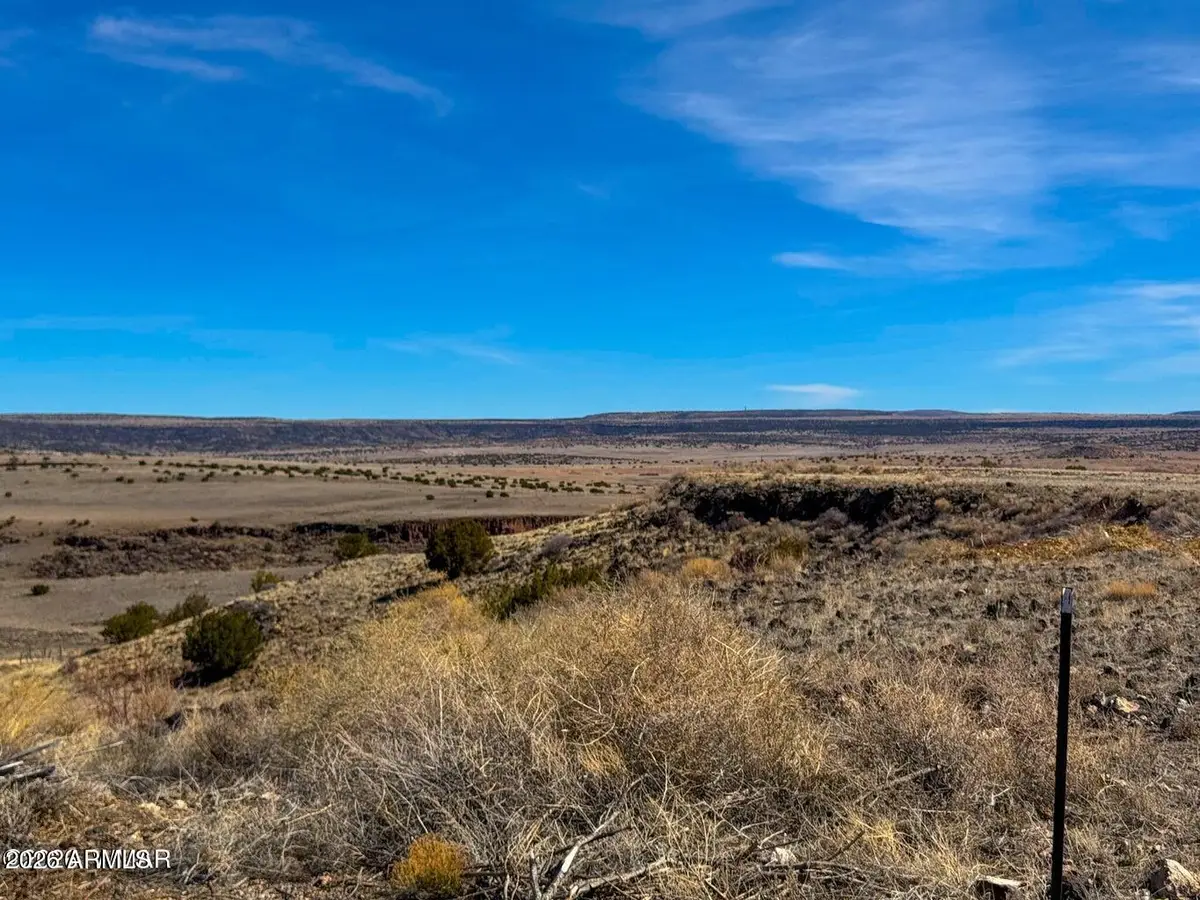 0 Co Rd 4008 (25 Acres) --, Saint Johns, AZ 85936 - #1
