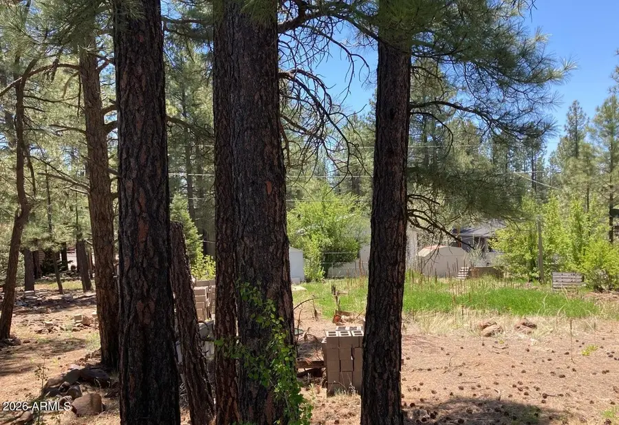 17155 S Iron Springs Road #26, Munds Park, AZ 86017 - #3